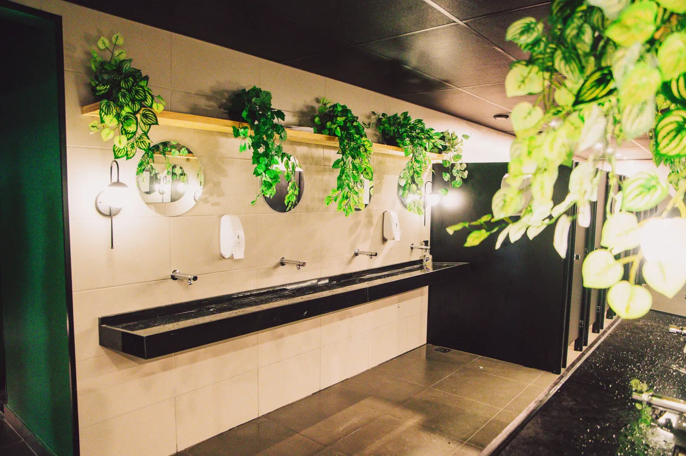 Banheiro do Bosque com plantas