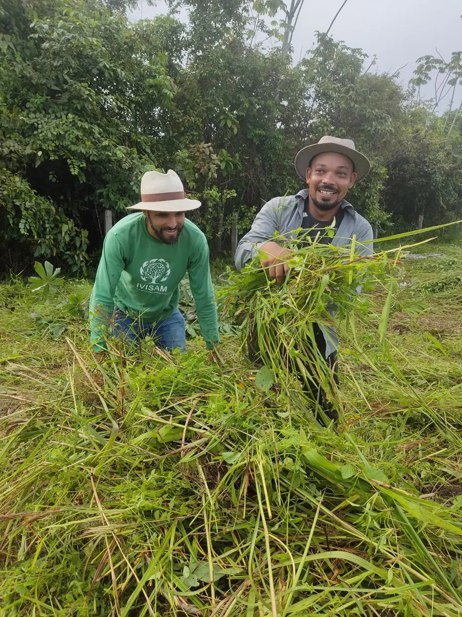Agricultores parceiros plantando mudas